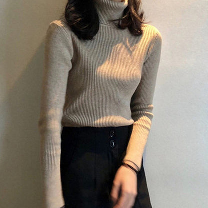 High Neck Sweater With Long Sleeve Pullover Top